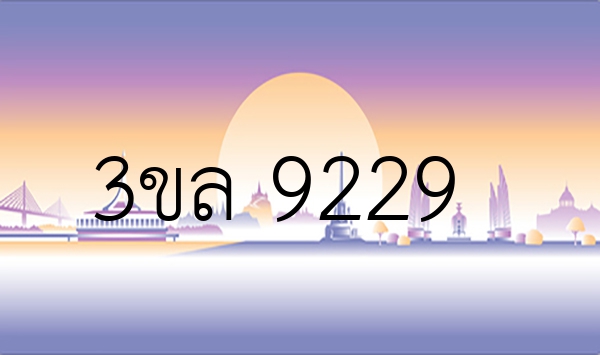 3ขล 9229
